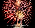 Fireworks Training for Parrots and Other Pets