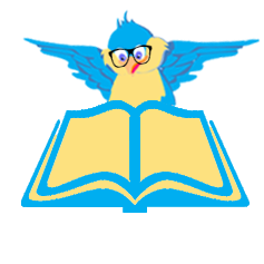 Book Book