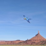 Cecil Freeflying