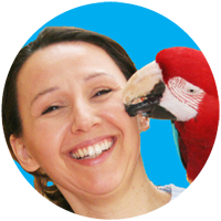 The Bird School - Ann Castro Logo