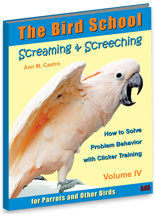 How to Solve Screaming & Screeching in Parrots and Other Birds