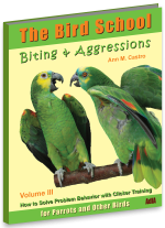How to Solve Biting & Aggression in Parrots