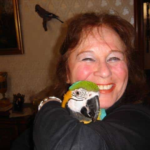 Helga Testimonial Macaw Photo